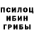 Галлюциногенные грибы Magic Shrooms Stepan Suslov