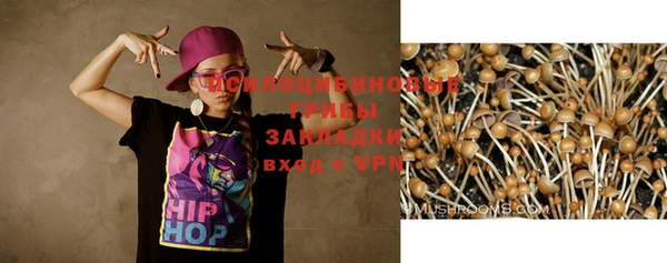 стафф Волосово