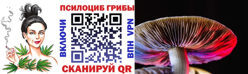 Галлюциногенные грибы Psilocybine cubensis  закладки  Электроугли 
